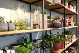 wavre_fleuriste1-grume©