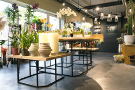 wavre_fleuriste5-grume©