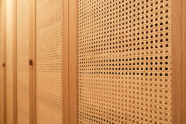 Grume_fuji_dressing3_©copyright